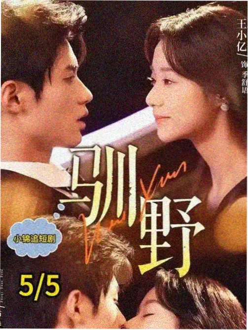 小城之春 经典重制版 海报